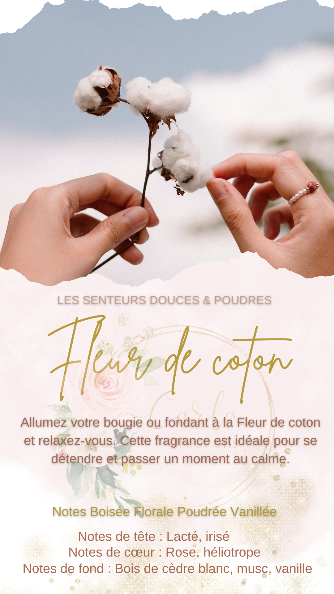 Senteur Fleur de coton