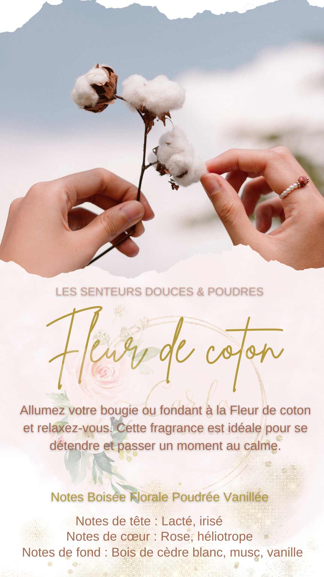 Bonica - Fondant de cire - Parfum Jour de lessive - L'ATELIER