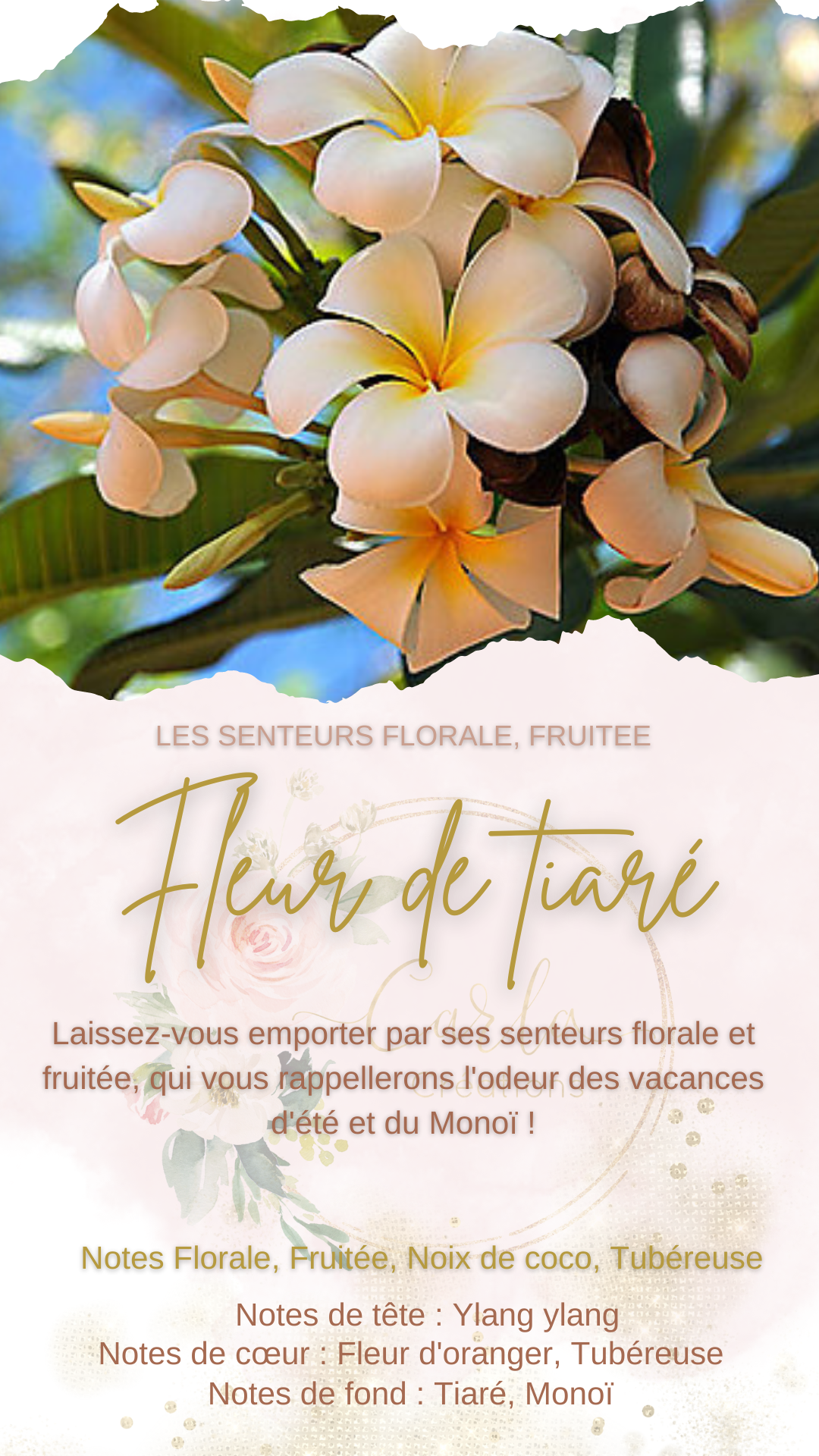Senteur Fleur de tiaré