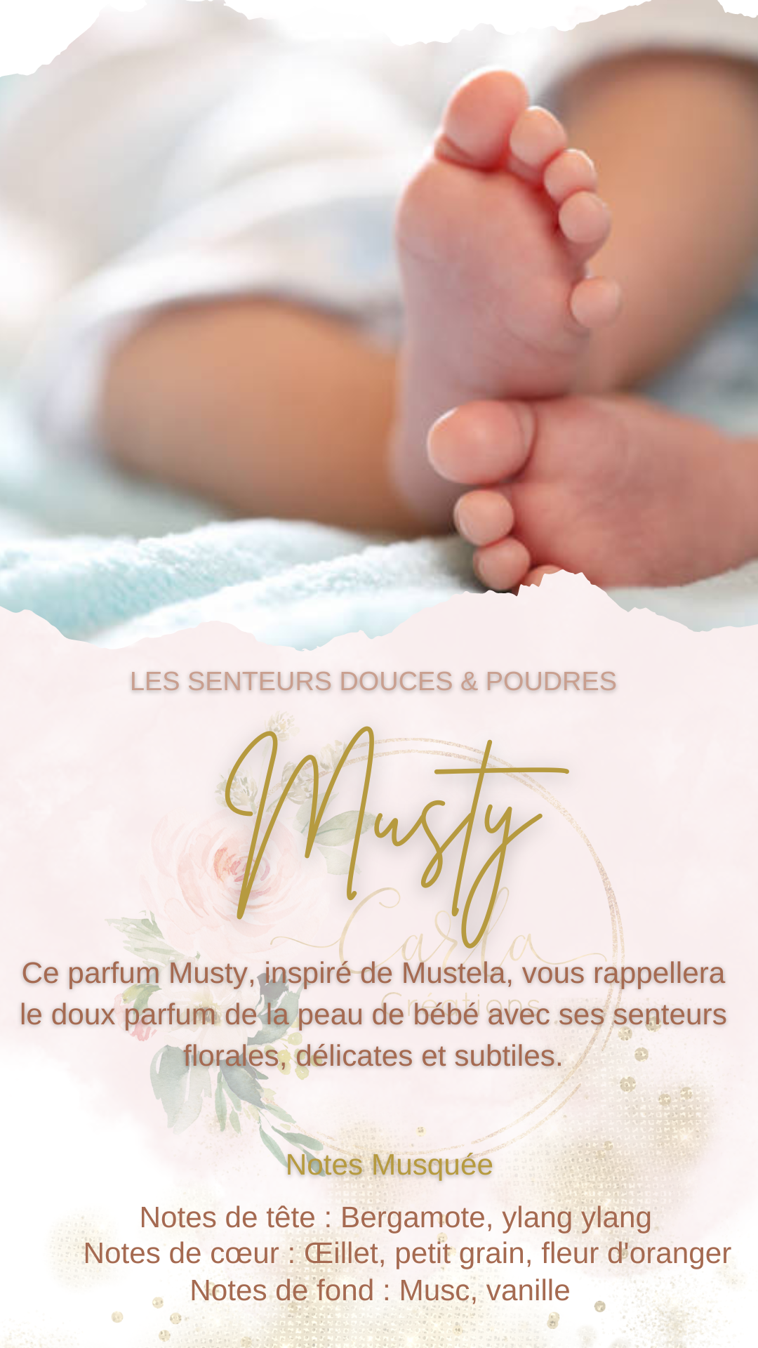 Senteur Musty
